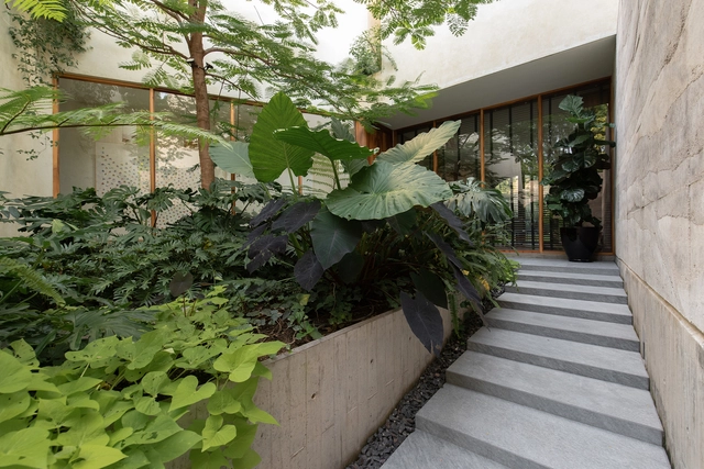 Casa Duraznos / V Taller - Fotografía interior, Casas
