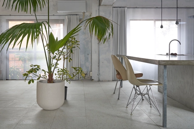 东京风与光之宅 / Office Shogo Onodera - 室内图, 公寓室内设计, 椅子