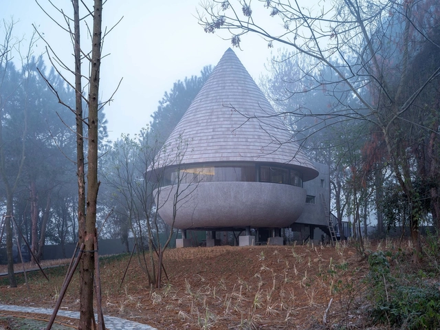 Residencia Hongo, una casa de madera en el bosque / ZJJZ - Fotografía exterior, Casas