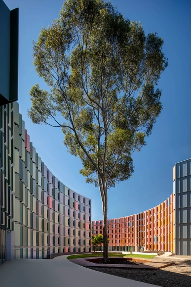 乐卓博大学学生宿舍 / Jackson Clements Burrows Architects - 建筑图, 宿舍