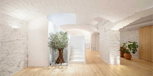 Perfumería Carner Barcelona / Jofre Roca arquitectes - Fotografía interior, Interiores Comerciales