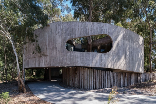 Casa 81 / TAM - Guillermo Elgart - Fotografía exterior, Casas, Fachada, Bosque