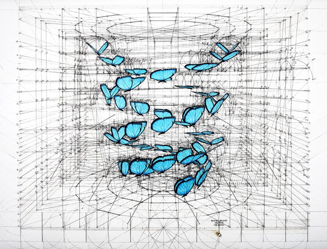 Rafael Araujo sobre geometría en la naturaleza: "Cada dibujo es un algoritmo estricto" - Imagen Principal