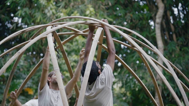Como criar estruturas curvas com bambu - Imagem de Destaque