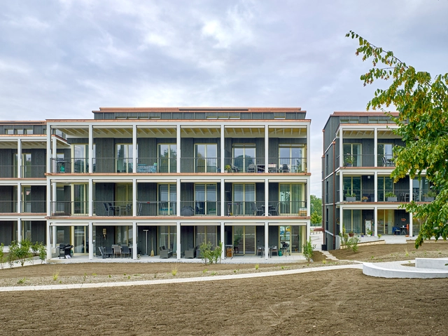 瑞士穆里住宅区 / Baumberger & Stegmeier - 建筑图, 公寓, 门