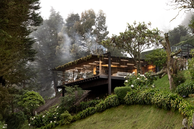 Casa Mirador / RAMA estudio - Fotografía exterior, Sustentabilidad, Jardín, Bosque