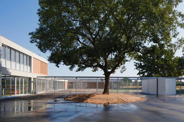 School Piquepeyre / ppa architectures + Cousy Architectures  - Exterior Photography, Elementary & Middle School, Facade