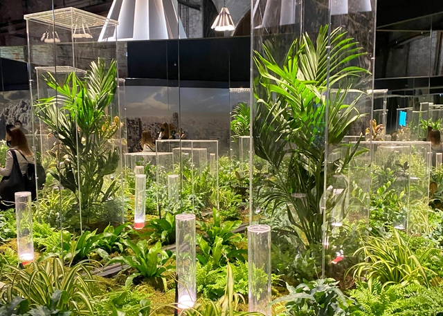 5 Pavilhões na Bienal de Veneza 2021 que abordam sustentabilidade e mudanças climáticas - Imagem de Destaque