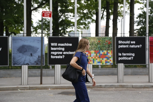 AMO Brings a Version of Countryside Exhibition At the United Nations Headquarters - Featured Image