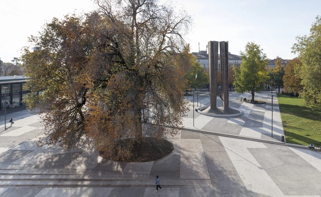 古树环绕的贝尔加莫城市广场 / Studio Capitanio Architetti + OSA architettura e paesaggio - 建筑图, 景观设计