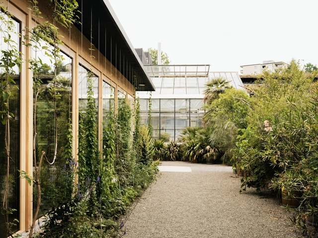 绿色馆 / Tom Munz Architekt - 建筑图, 展馆