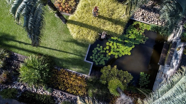 Sítio Roberto Burle Marx recebe título de Patrimônio Mundial da Unesco - Imagem de Destaque