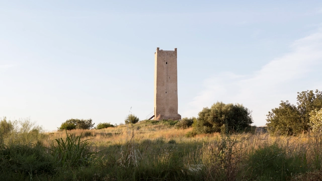 Consolidación y restauración de la torre Espioca de Picassent / el fabricante de espheras  - Fotografía exterior, Preservación Histórica