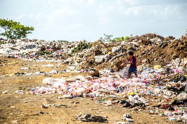 Dia de Sobrecarga da Terra 2021: precisamos de 1,7 planeta para suprir nossas demandas - Imagem de Destaque