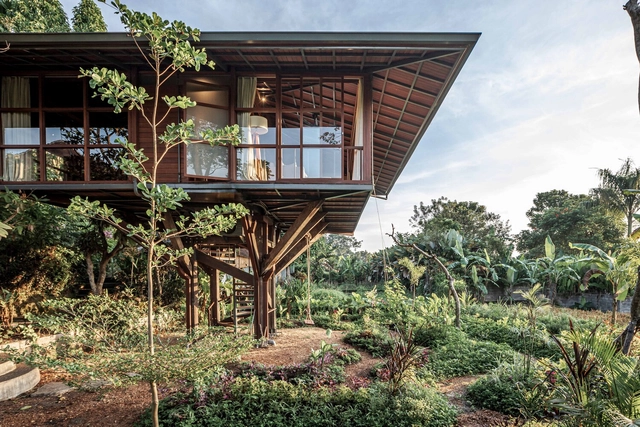 Casa na Árvore C / Stilt Studios - Fotografia de Exterior, Casas