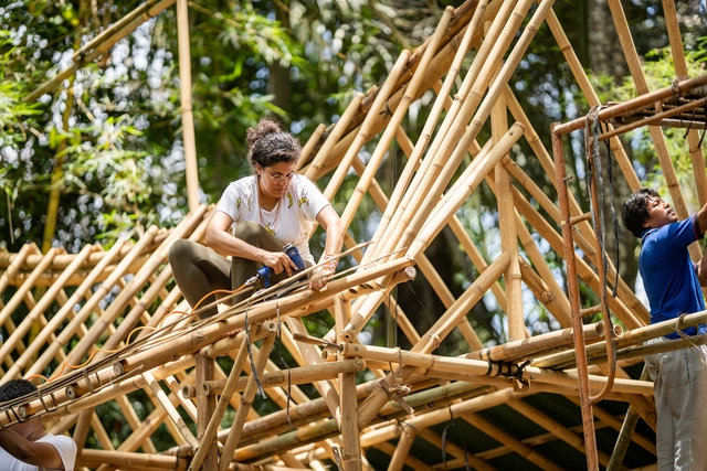 Como evitar os erros mais comuns ao construir com bambu - Imagem de Destaque