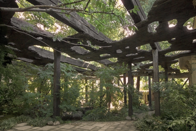 Kokage-gumo Pavilion / junya ishigami + associates - Exterior Photography, Temporary Installations