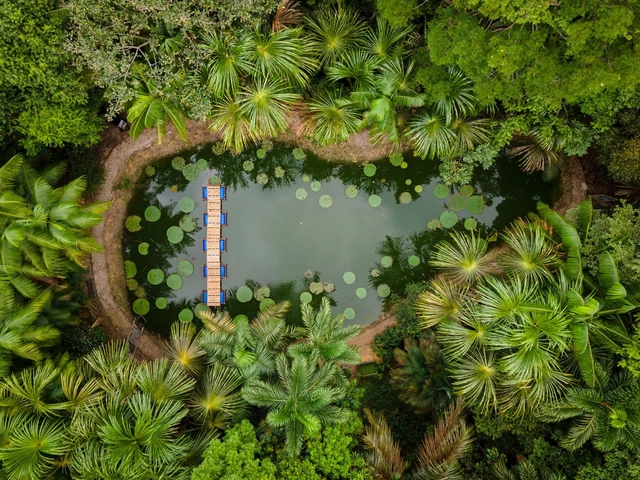 Pontes Flutuantes em Manaus / Colectivo Aqua Alta - Fotografia de Exterior, Passarela, Jardim, Floresta