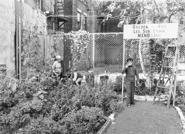 The Invention of Public Space Shows the City as a Product of Negotiation - Featured Image