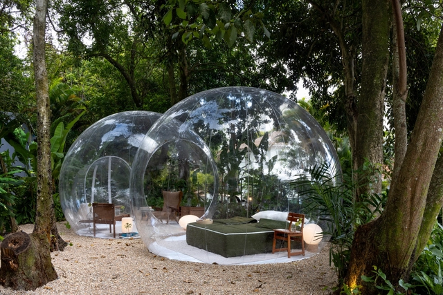Jardim Secreto / Diego Raposo + Arquitetos - Fotografia de Exterior, Instalações Temporárias, Jardim, Arco, Floresta