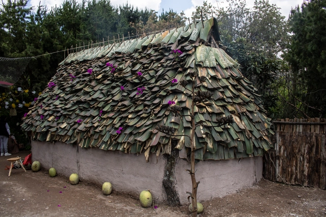 Rosario Argüello: sobre la conservación de técnicas y materiales locales en zonas rurales de México - Imagen Principal