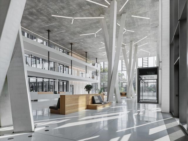 The Power of Concrete: Twisted Tree-Shaped Supports and Beams  - Featured Image