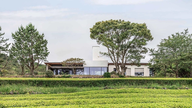 Casa de Chá Osulloc Sullochyangsil / One O One Architects - Fotografia de Exterior, Casas