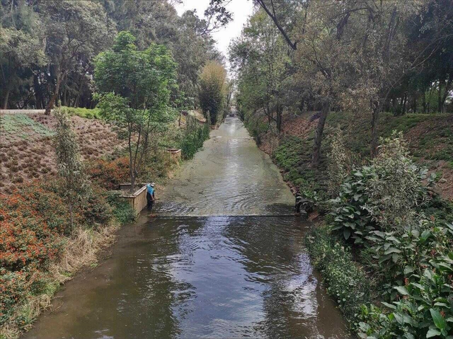 Ríos y canales urbanos en Ciudad de México: proyectos para su rehabilitación - Imagen Principal