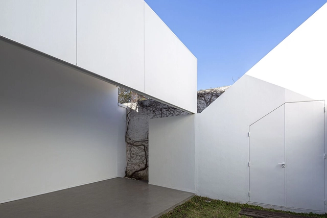 Masip 住宅扩建 / Castellani Losada Arquitectura - 建筑图, 小尺度项目, 表皮