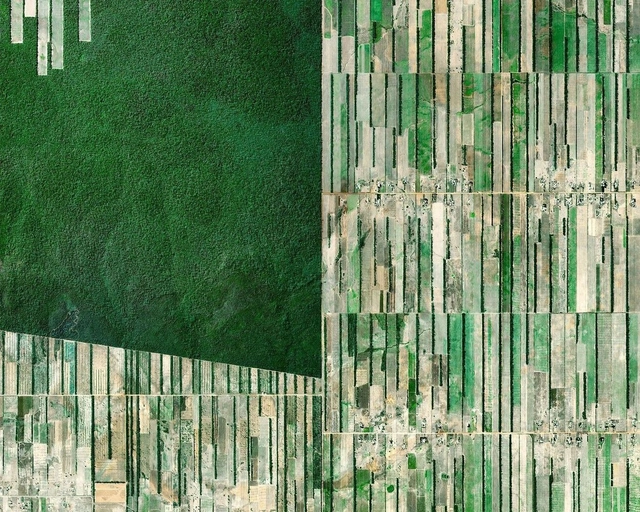 摄影作品｜乡土景观，粮食生产如何塑造土地 - 主图