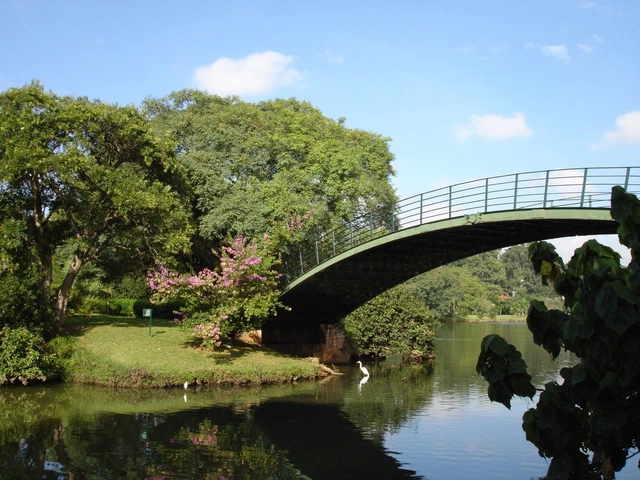 Praças e parques em São Paulo: um roteiro de destinos ao ar livre - Imagem de Destaque