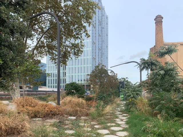 Re-naturalizar la Ciudad: Trascendiendo el concepto de sostenibilidad - Imagen Principal