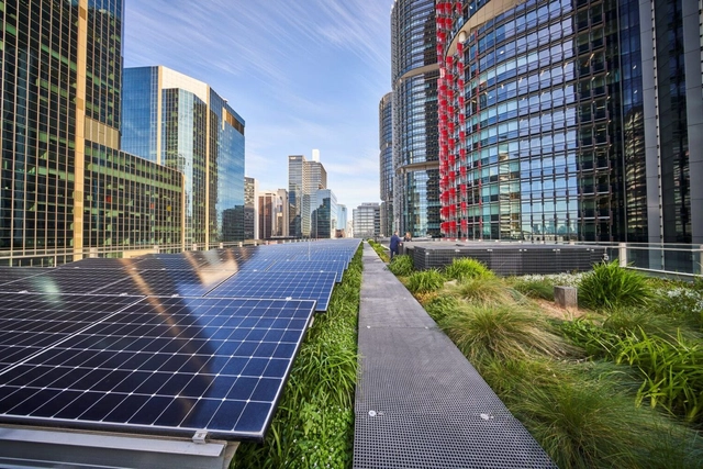 Tetos verdes tornam painéis solares mais eficientes, revela pesquisa - Imagem de Destaque