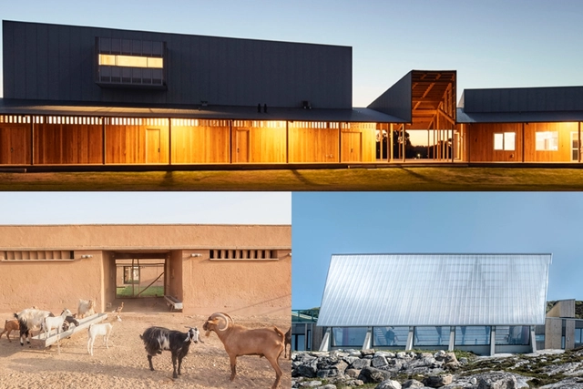 Open Call: Architecture of Necessity  - Featured Image