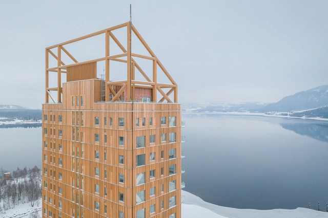 The Potential of Bamboo and Mass Timber for the Construction Industry: An Interview with Pablo van der Lugt  - Featured Image