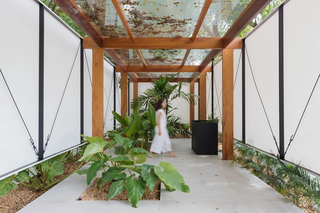 Botanical 苗圃装置 / Studio Pippa - 室内图, 临时装置