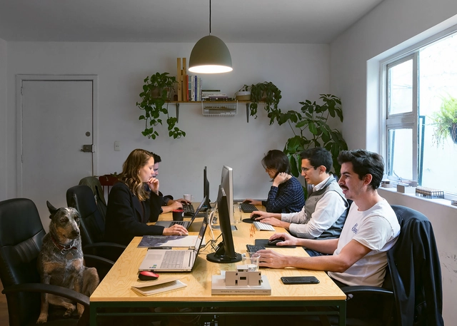Los principales desafíos que enfrentan las prácticas jóvenes de arquitectura - Imagen Principal