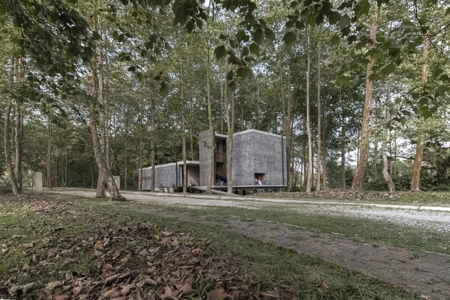Casa negra / ArquitectónicA Cecilia Yarmuch + Alejandro Aguilera - Fotografía exterior, Casas, Bosque