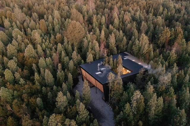 Casa un patio / Lucas Maino Fernandez - Fotografía exterior, Casas, Bosque