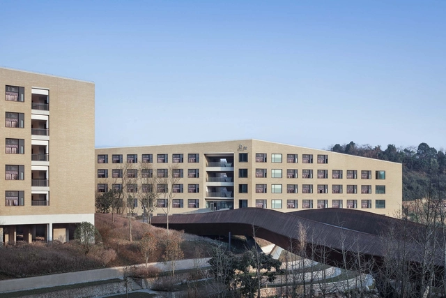西南大学附属中学两江校区 / gad - 建筑图, 小学及初中, 表皮