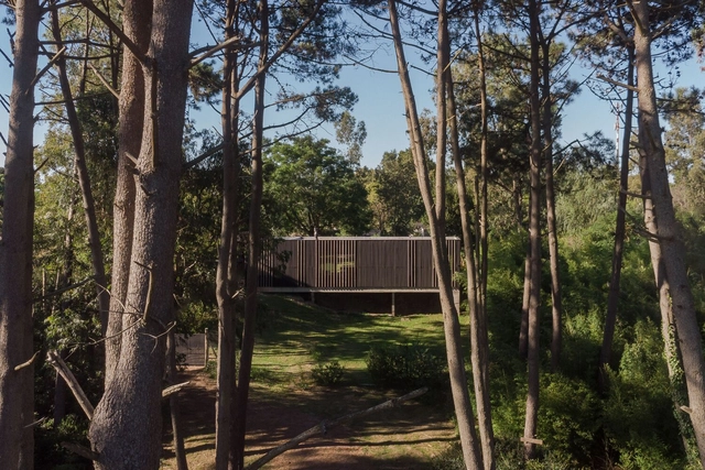 Casa Neptunia / Fábrica de casas - Fotografía exterior, Casas, Bosque