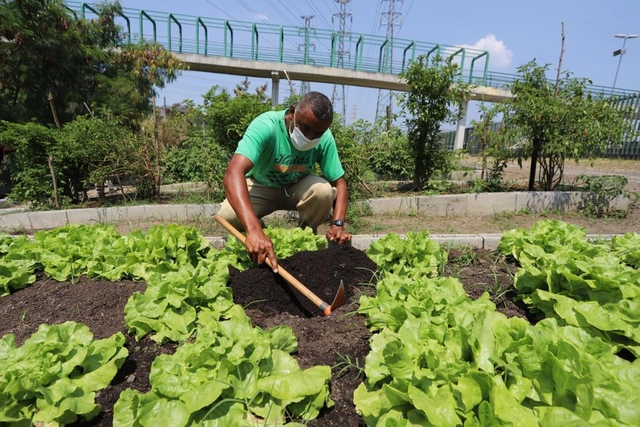 Rio de Janeiro terá a maior horta urbana do mundo com 110 mil m2 - Imagem de Destaque
