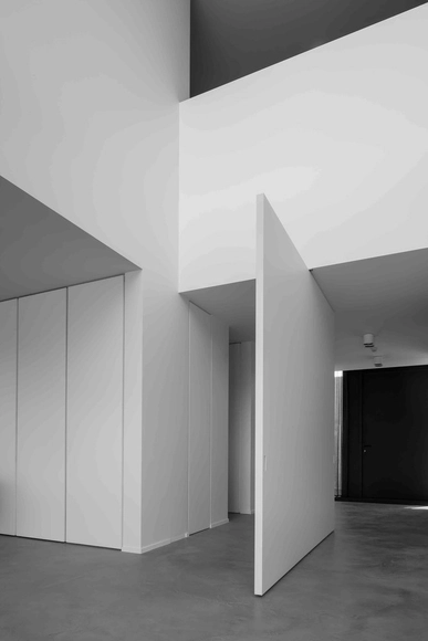 The Endless Design Possibilities of Interior Pivot Doors  - Featured Image