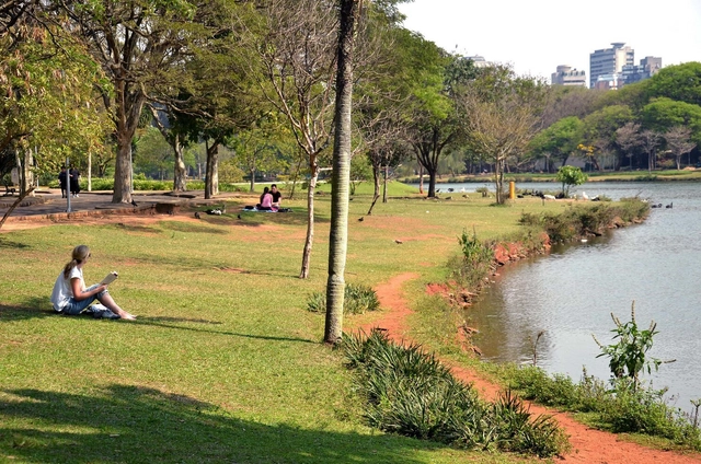 Áreas verdes ajudam a aliviar a solidão nas cidades - Imagem de Destaque