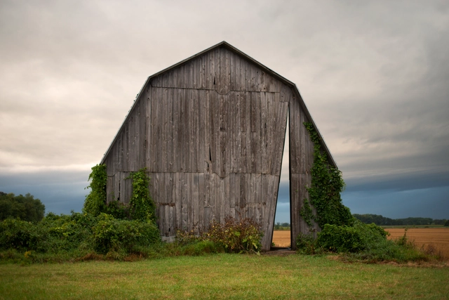 The Architecture of Salvage - Featured Image