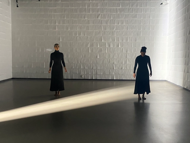 Rozana Montiel presenta exposición "Blanco en tres actos" en el Colegio de San Ildefonso - Imagen Principal