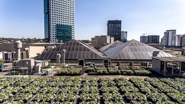 Shopping em São Paulo tem ecotelhado com compostagem e horta - Imagem de Destaque