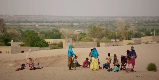 21 naciones africanas luchan contra la desertificación con una Gran Muralla Verde de 8.000 kilómetros - Imagen Principal