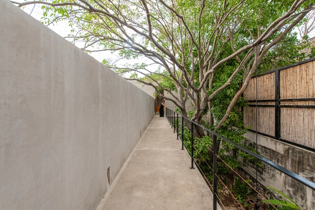 Casa abejas / TACO taller de arquitectura contextual  - Fotografía exterior, Casas