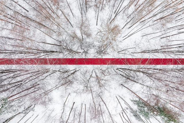 "White Forest" is a first Land art project in Malevich park in Moscow Region where artist Gregory Orekhov rolls out 250-meter-long red carpet across snowy russian landscape - Featured Image